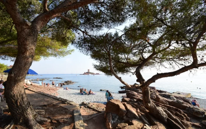 Plage du Débarquement au Dramont à 5 minutes à pied de notre location.
